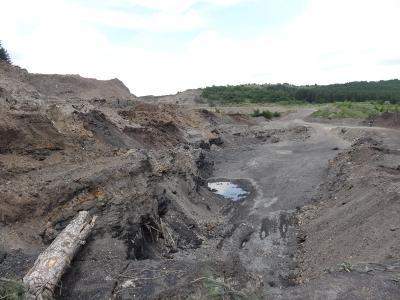 Съвместна проверка на МЕ, МЗХ и МОСВ в района на град Перник