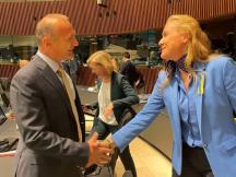 Rossen Hristov: Maximum flexible conditions for the hydrogen market are required